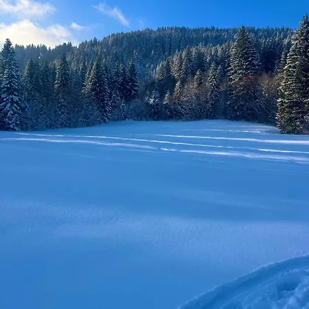 Appartamento Alpenherz Im Allgaeu, Mit Balkon Und Bergblick